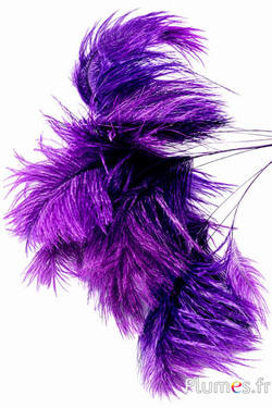 Panicule struzzo - 35-40 cm - melanzana-grigi naturale